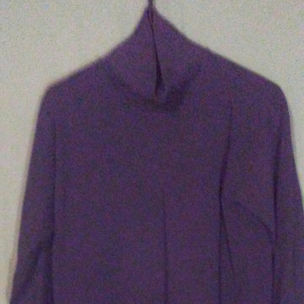 Spring Harbor turtle neck